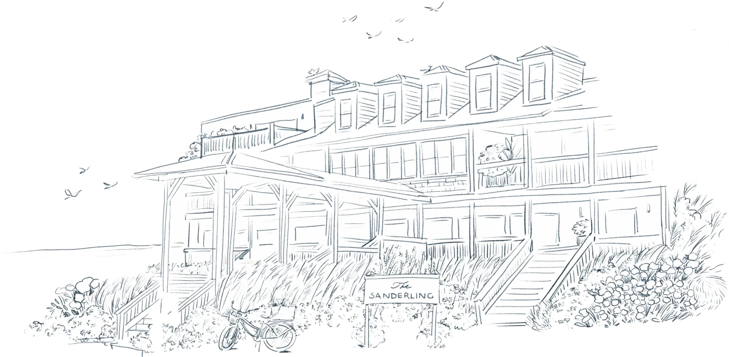 Black and white illustration of The Sanderling Resort facade with seagulls flying near the sea and a bicycle parked at the entrance.